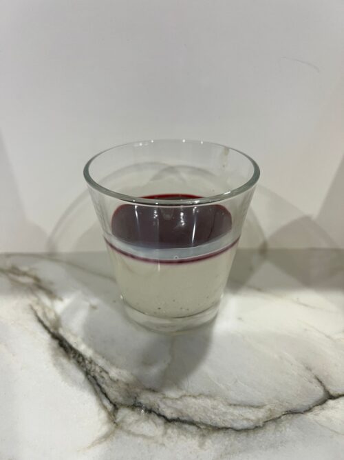 Panna Cotta maison au coulis de fruits rouges